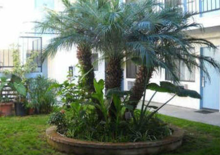 庭院风水知识 庭院风水知识