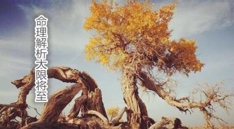 命理解析大限将至 命理解析大限将至