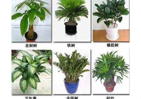 阳宅风水图解大全