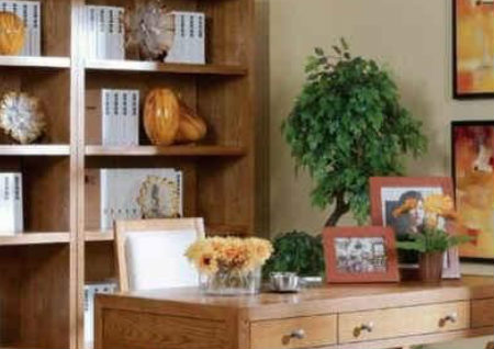 书房摆放风水正确图 书房摆放风水正确图