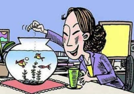 养鱼风水学 养鱼风水学