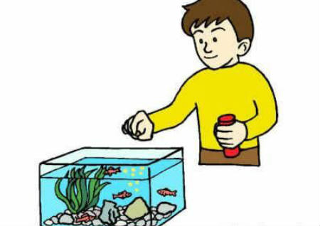 养鱼风水学 养鱼风水学