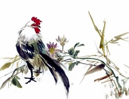 生肖鸡取名的宜忌