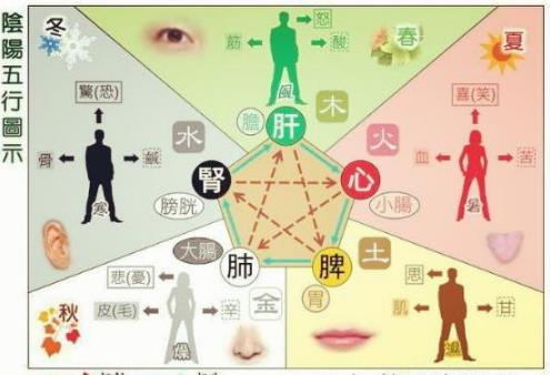 如何知道自己五行缺失 如何知道自己五行缺失