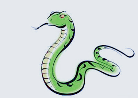 属蛇人2020年桃花运如何