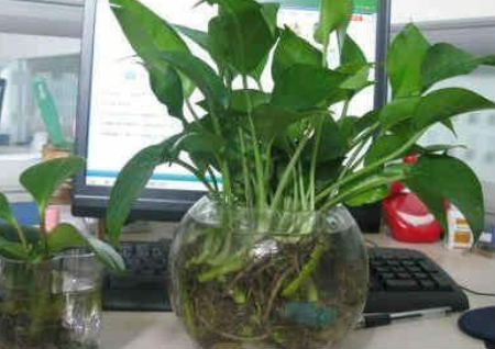 员工办公桌摆放风水 员工办公桌摆放风水