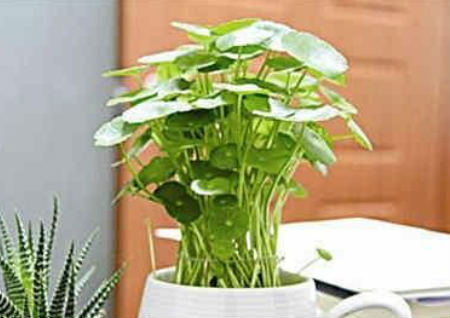 员工办公桌摆放风水 员工办公桌摆放风水