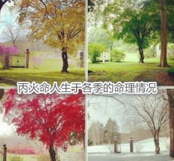 丙火命人生于各季的命理情况 丙火命人生于各季的命理情况