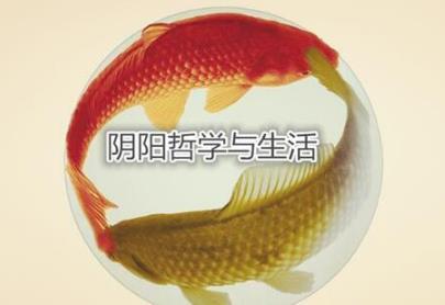 阴阳哲学与生活 阴阳哲学与生活