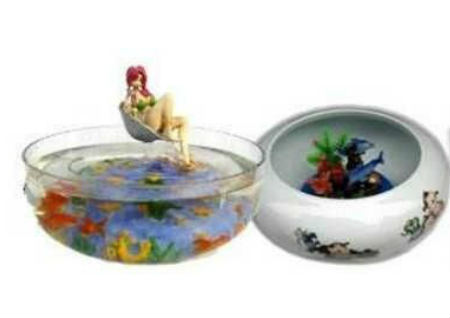 家中鱼缸摆放风水 家中鱼缸摆放风水