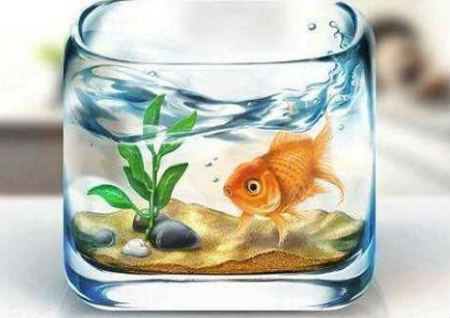 家中鱼缸摆放风水 家中鱼缸摆放风水