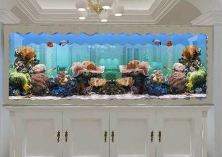 家中鱼缸摆放风水 家中鱼缸摆放风水