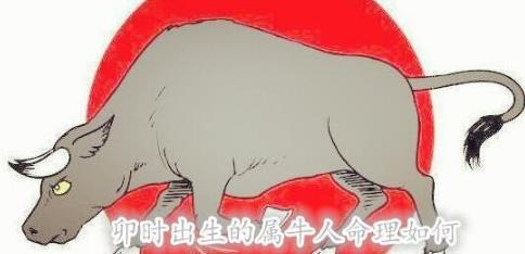 卯时出生的属牛人命理如何 卯时出生的属牛人命理如何