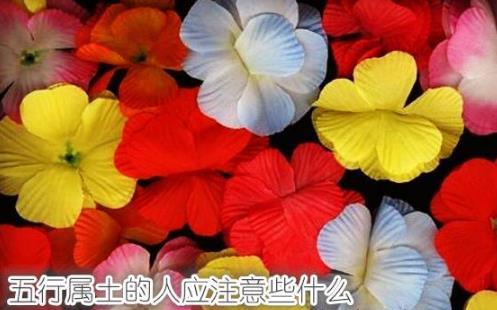五行属土的人应注意些什么 五行属土的人应注意些什么