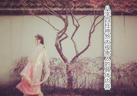 八字四柱神煞太极贵人的具体内容