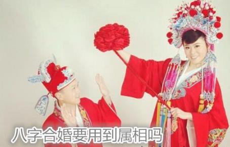 八字合婚要用到属相吗 八字合婚要用到属相吗