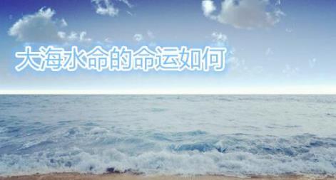 大海水命的命运如何 大海水命的命运如何