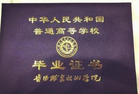 女命学历高的八字