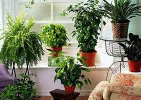 装修风水禁忌和破解 装修风水禁忌和破解