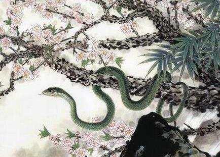 属蛇和什么生肖合财 属蛇和什么生肖合财