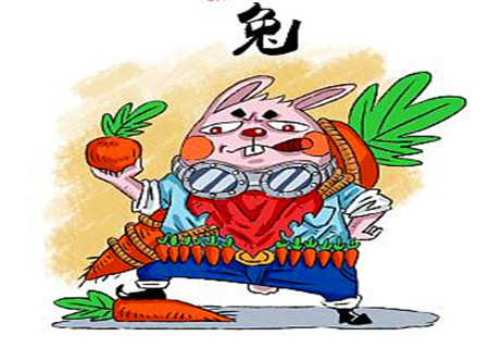 属兔的男人对待感情如何