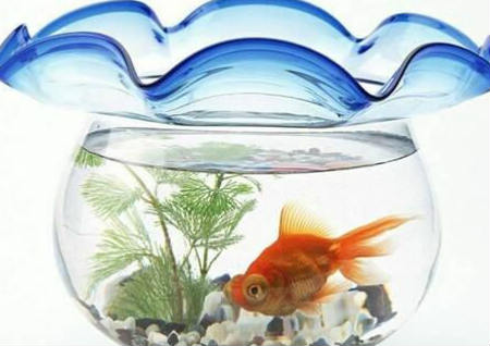 室内风水 室内风水