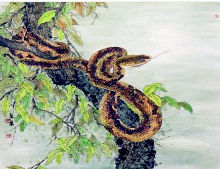 最适合属蛇男的老婆 最适合属蛇男的老婆