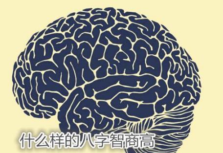 什么样的八字智商高 什么样的八字智商高