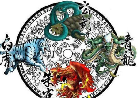 青龙怕臭怎么破解