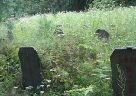 祖坟风水不好的现象 祖坟风水不好的现象