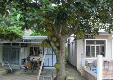 农村建房风水入门知识 农村建房风水入门知识