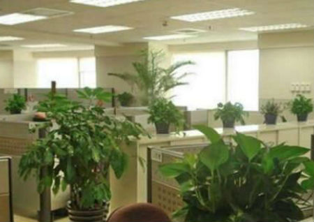 让你头脑清醒的办公桌风水 让你头脑清醒的办公桌风水