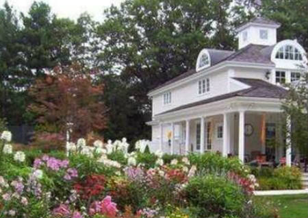 庭院植物风水的作用