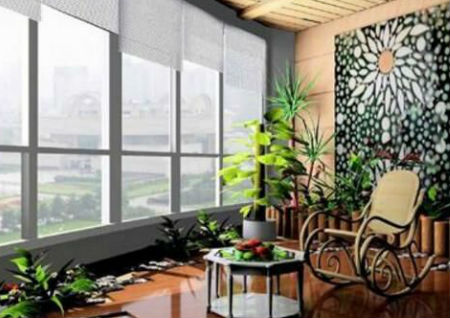 利用植物改善居家阳台风水
