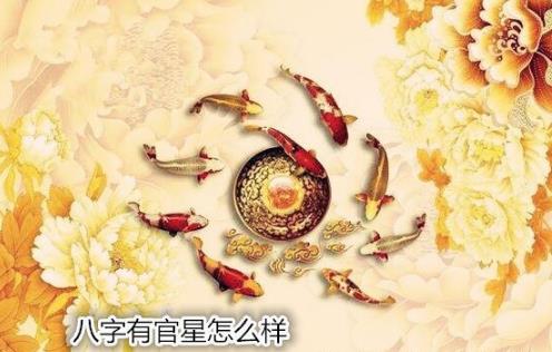 八字有官星怎么样 八字有官星怎么样