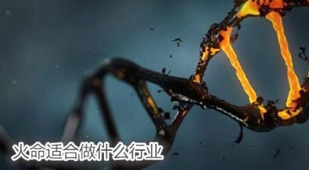 火命适合做什么行业 火命适合做什么行业
