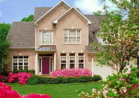 适合庭院种植的驱邪风水植物