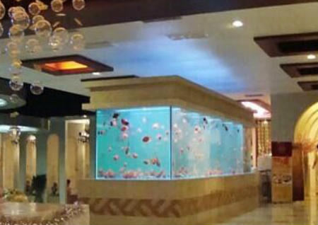 养鱼风水注意事项