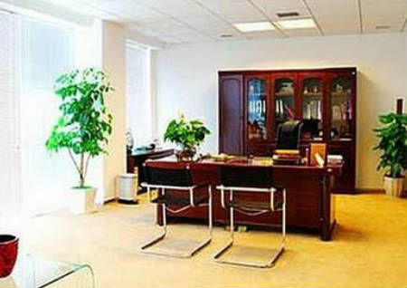 办公室风水布局如何早脱单