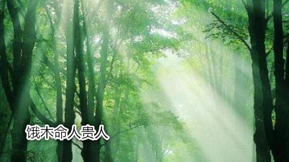 饿木命人贵人 饿木命人贵人