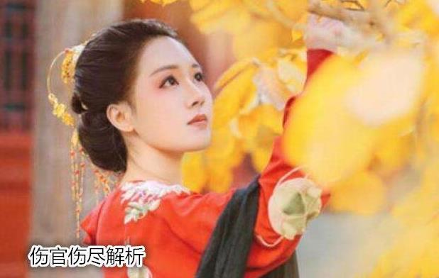 伤官伤尽解析 伤官伤尽解析