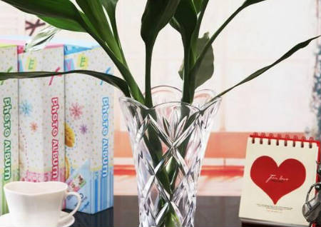 办公室风水学之富贵竹摆放禁忌 办公室风水学之富贵竹摆放禁忌