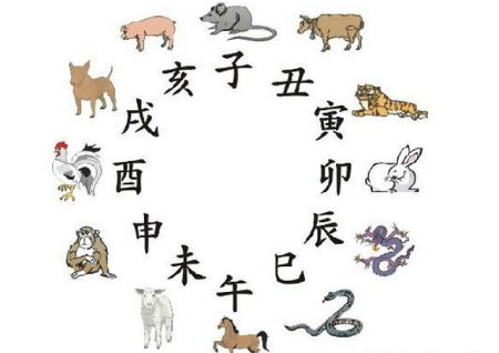 十二生肖在风水上的作用解说