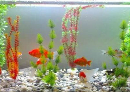 居家风水常见的催财禁忌