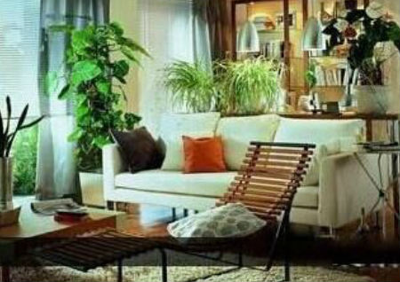 如何利用花草催财