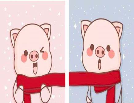 属猪男喜欢什么女人