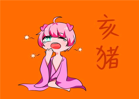 属猪女表达爱意的方式