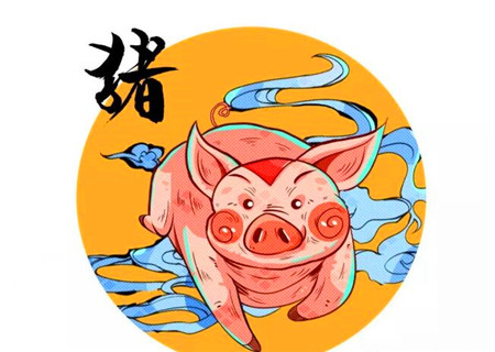 2020年属猪的事业财运如何 2020年属猪的事业财运如何