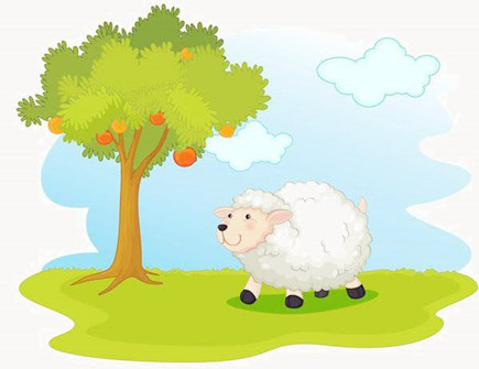 属羊住几层楼最好