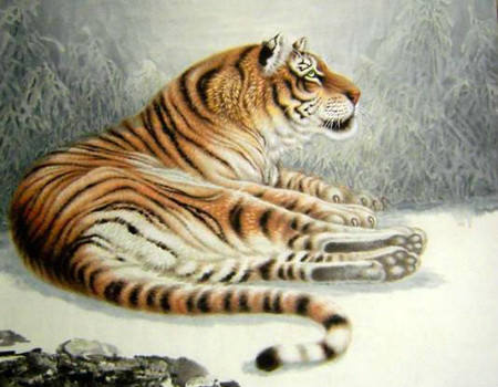 属虎起名宜用字大全